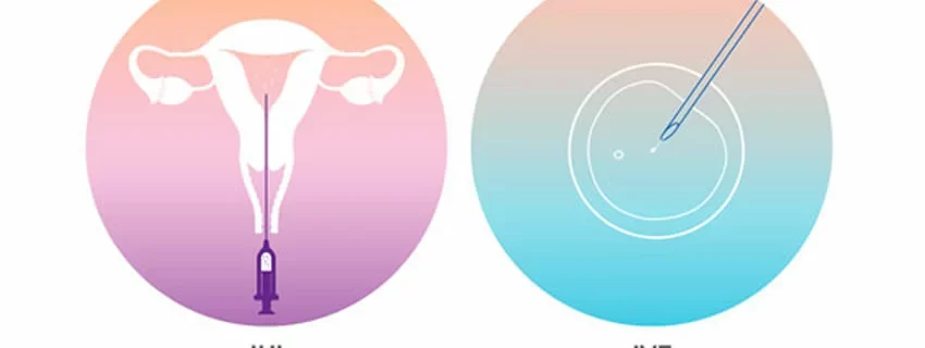 best ivf center in indore